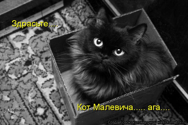 Здрасьте.... Кот Малевича..... ага....... Котоматрица: Здрасьте.... Кот Малевича..... ага....