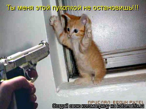Ты меня этой пуколкой не остановишь!!!... Котоматрица: Ты меня этой пуколкой не остановишь!!!
