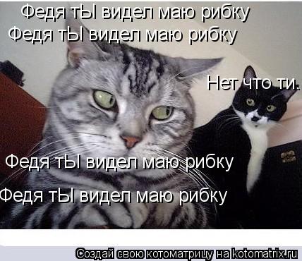 Федя тЫ видел маю рибку Федя тЫ видел маю рибку Федя тЫ видел маю рибку Федя тЫ видел маю рибку Нет ч... Котоматрица: Федя тЫ видел маю рибку Федя тЫ видел маю рибку Федя тЫ видел маю рибку Федя тЫ видел маю рибку Нет что ти..