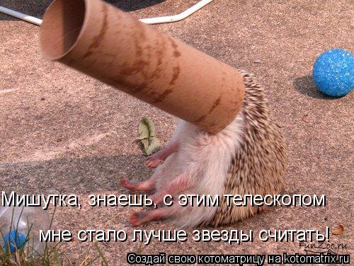 Мишутка, знаешь, с этим телескопом мне стало лучше звезды считать!... Котоматрица: Мишутка, знаешь, с этим телескопом мне стало лучше звезды считать!