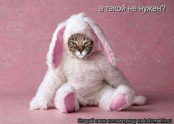 а такой не нужен?... Котоматрица: а такой не нужен?