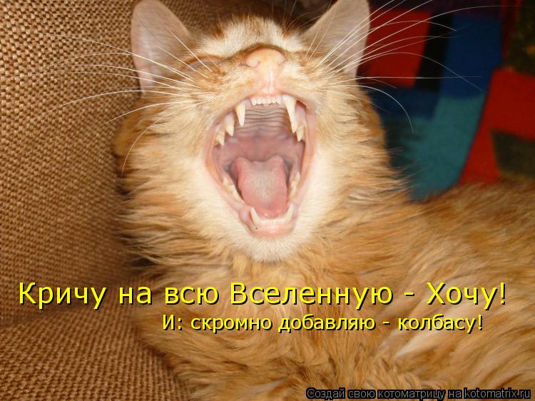 Кричу на всю Вселенную - Хочу! И: скромно добавляю - колбасу!... Котоматрица: Кричу на всю Вселенную - Хочу! И: скромно добавляю - колбасу!