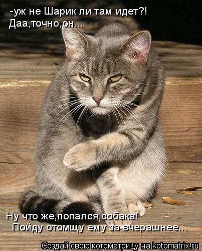 -уж не Шарик ли там идет?! Даа,точно,он... Ну что же,попался,собака! Пойду отомщу ему за вчерашнее...... Котоматрица: -уж не Шарик ли там идет?! Даа,точно,он... Ну что же,попался,собака! Пойду отомщу ему за вчерашнее...