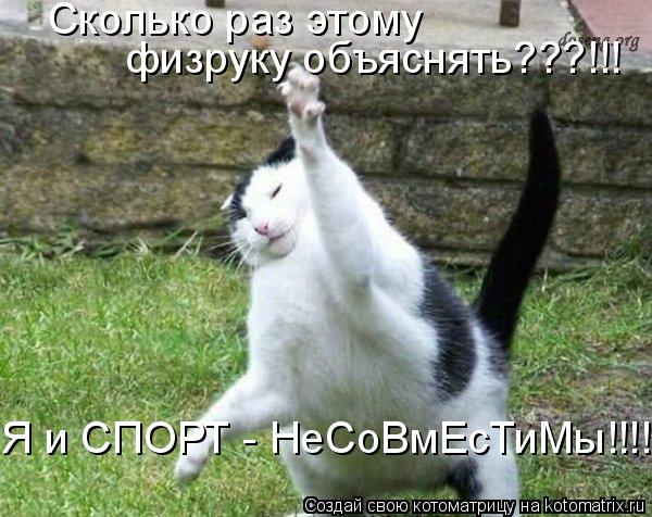Сколько раз этому физруку объяснять???!!! Я и СПОРТ - НеСоВмЕсТиМы!!!!... Котоматрица: Сколько раз этому физруку объяснять???!!! Я и СПОРТ - НеСоВмЕсТиМы!!!!