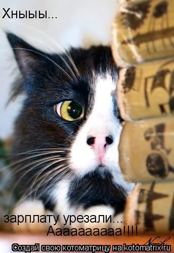 Хныыы... зарплату урезали... Аааааааааа!!!!... Котоматрица: Хныыы... зарплату урезали... Аааааааааа!!!!