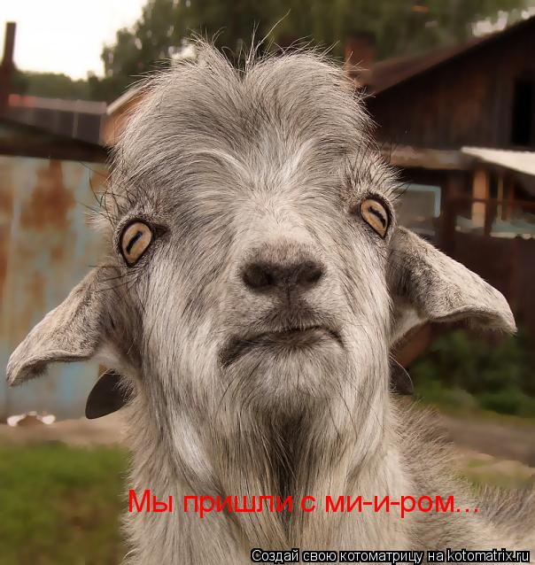 Мы пришли с ми-и-ром...... Котоматрица: Мы пришли с ми-и-ром...