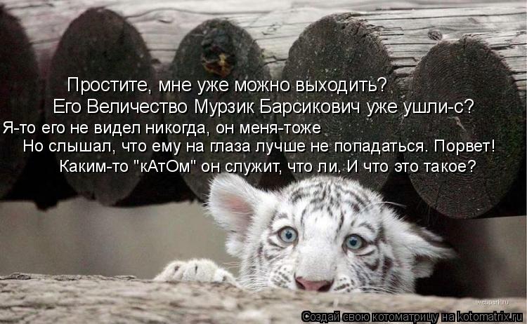 Простите, мне уже можно выходить? Его Величество Мурзик Барсикович уже ушли-с? Я-то его не видел нико... Котоматрица: Простите, мне уже можно выходить? Его Величество Мурзик Барсикович уже ушли-с? Я-то его не видел никогда, он меня-тоже Но слышал, что ему на гл