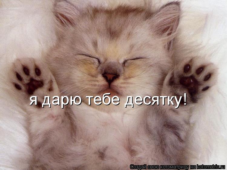я дарю тебе десятку!... Котоматрица: я дарю тебе десятку!