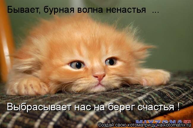 Бывает, бурная волна ненастья ... Выбрасывает нас на берег счастья !... Котоматрица: Бывает, бурная волна ненастья ... Выбрасывает нас на берег счастья !