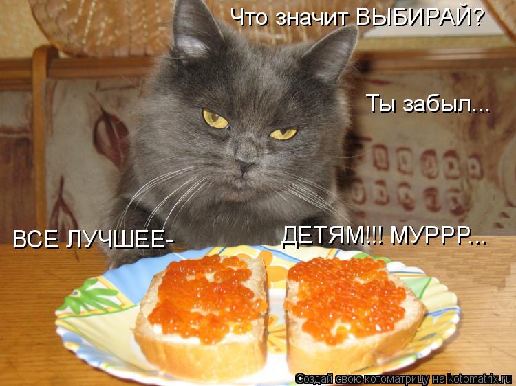 Что значит ВЫБИРАЙ? Ты забыл... ВСЕ ЛУЧШЕЕ- ДЕТЯМ!!! МУРРР...... Котоматрица: Что значит ВЫБИРАЙ? Ты забыл... ВСЕ ЛУЧШЕЕ- ДЕТЯМ!!! МУРРР...