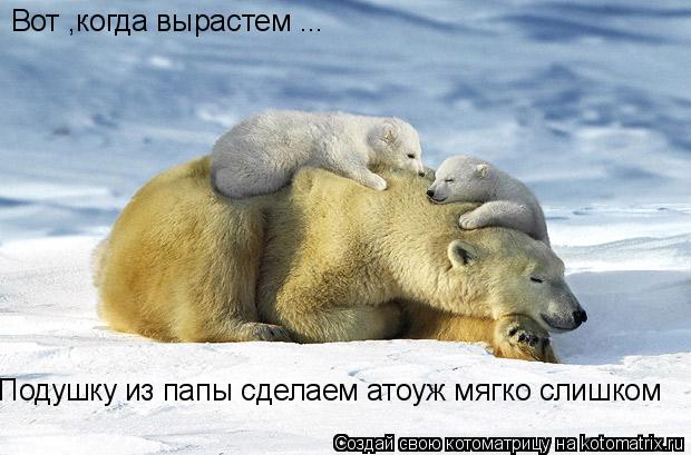 Вот ,когда вырастем ... Подушку из папы сделаем атоуж мягко слишком... Котоматрица: Вот ,когда вырастем ... Подушку из папы сделаем атоуж мягко слишком