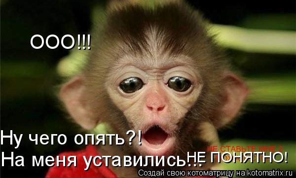 ООО!!! Ну чего опять?! На меня уставились... НЕ ПОНЯТНО!... Котоматрица: ООО!!! Ну чего опять?! На меня уставились... НЕ ПОНЯТНО!