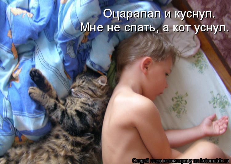 Котоматрица: Мне не спать, а кот уснул. Оцарапал и куснул.