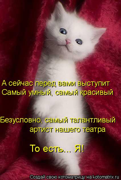 А сейчас перед вами выступит Самый умный, самый красивый Безусловно, самый талантливый артист нашего... Котоматрица: А сейчас перед вами выступит Самый умный, самый красивый Безусловно, самый талантливый артист нашего театра То есть... Я!