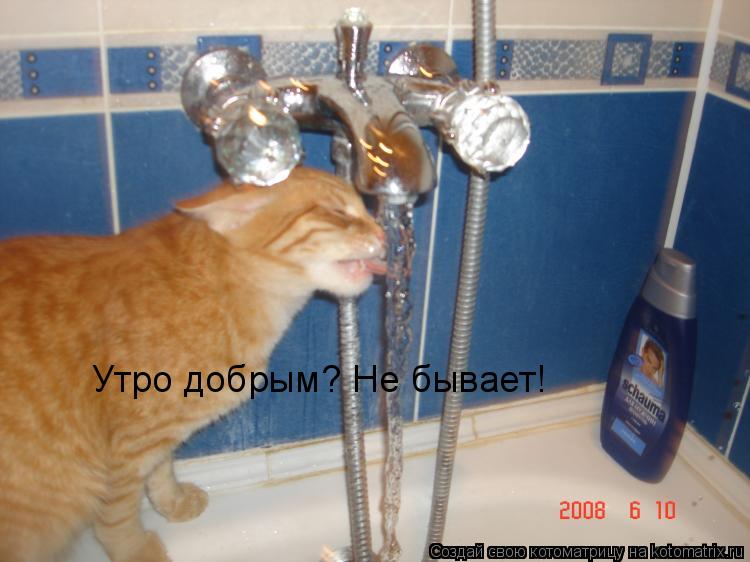 Утро добрым? Не бывает!... Котоматрица: Утро добрым? Не бывает!