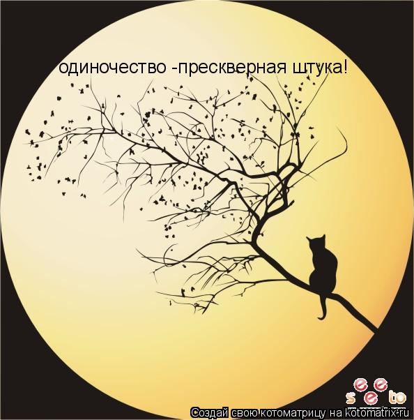 одиночество -прескверная штука!... Котоматрица: одиночество -прескверная штука!