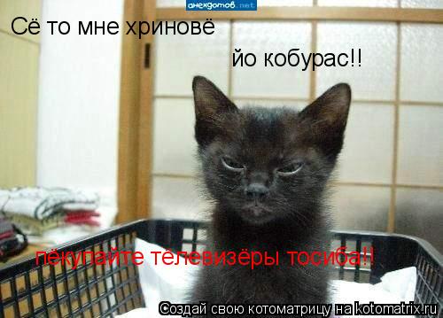 Сё то мне хриновё йо кобурас!! пёкупайте тёлевизёры тосиба!!... Котоматрица: Сё то мне хриновё йо кобурас!! пёкупайте тёлевизёры тосиба!!