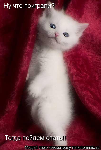 Ну что,поиграли? Тогда пойдём спать!!... Котоматрица: Ну что,поиграли? Тогда пойдём спать!!