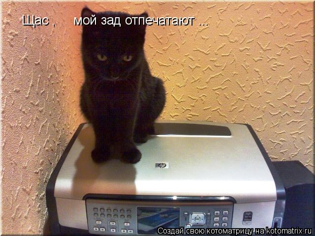 Щас , мой зад отпечатают ...... Котоматрица: Щас , мой зад отпечатают ...