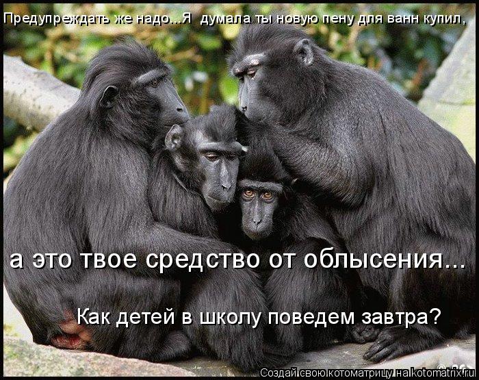 а это твое средство от облысения... Как детей в школу поведем завтра? Предупреждать же надо...Я дума... Котоматрица: а это твое средство от облысения... Как детей в школу поведем завтра? Предупреждать же надо...Я думала ты новую пену для ванн купил,