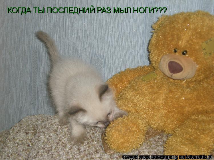 КОГДА ТЫ ПОСЛЕДНИЙ РАЗ МЫЛ НОГИ???... Котоматрица: КОГДА ТЫ ПОСЛЕДНИЙ РАЗ МЫЛ НОГИ???