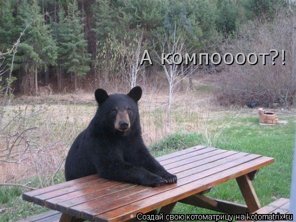 А компоооот?!... Котоматрица: А компоооот?!