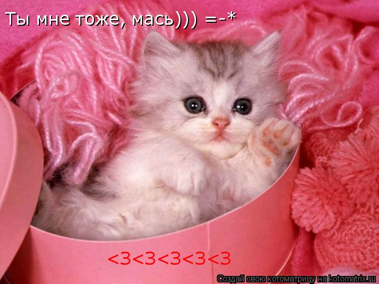 Ты мне тоже, мась))) =-* Ты мне тоже, мась))) =-* Ты мне тоже, мась))) =-* <З<З<З<З<З... Котоматрица: Ты мне тоже, мась))) =-* Ты мне тоже, мась))) =-* Ты мне тоже, мась))) =-* <З<З<З<З<З