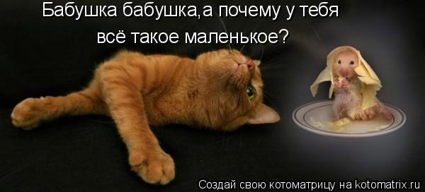 Бабушка бабушка,а почему у тебя всё такое маленькое?... Котоматрица: Бабушка бабушка,а почему у тебя всё такое маленькое?