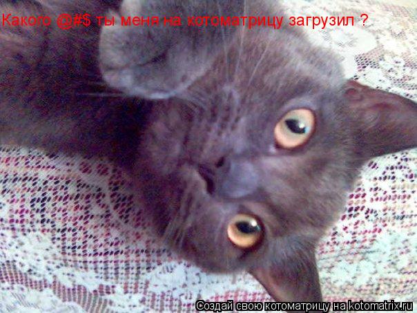 Какого @#$ ты меня на котоматрицу загрузил ?... Котоматрица: Какого @#$ ты меня на котоматрицу загрузил ?