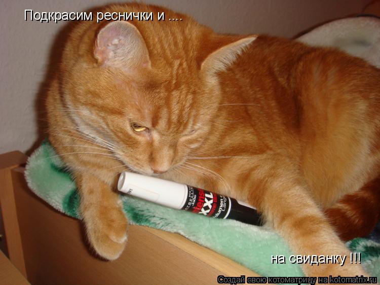 Подкрасим реснички и .... на свиданку !!!... Котоматрица: Подкрасим реснички и .... на свиданку !!!
