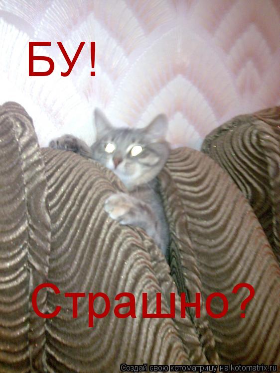 БУ! Страшно?... Котоматрица: БУ! Страшно?