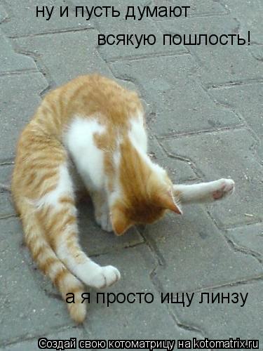 ну и пусть думают всякую пошлость! а я просто ищу линзу... Котоматрица: ну и пусть думают всякую пошлость! а я просто ищу линзу
