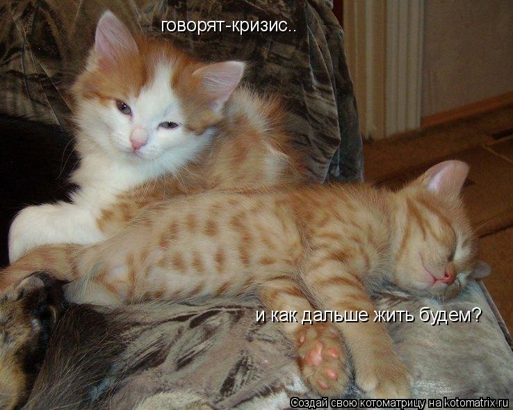 говорят-кризис.. и как дальше жить будем?... Котоматрица: говорят-кризис.. и как дальше жить будем?