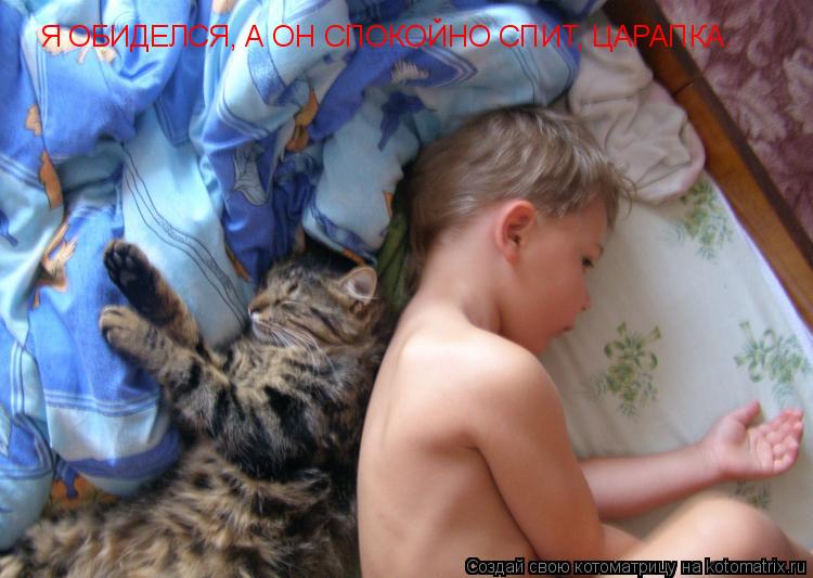 Я ОБИДЕЛСЯ, А ОН СПОКОЙНО СПИТ, ЦАРАПКА.... Котоматрица: Я ОБИДЕЛСЯ, А ОН СПОКОЙНО СПИТ, ЦАРАПКА.