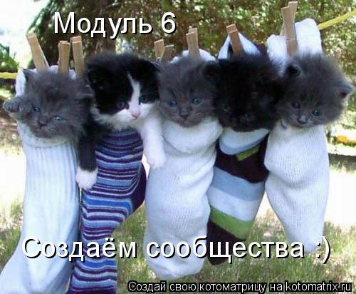 Модуль 6 Создаём сообщества :)... Котоматрица: Модуль 6 Создаём сообщества :)