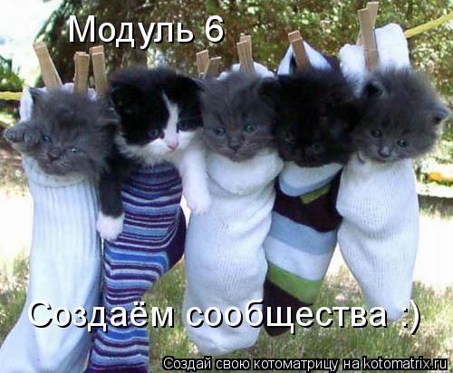 Котоматрица: Модуль 6 Создаём сообщества :)