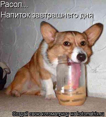 Расол... Напиток завтрашнего дня... Котоматрица: Расол... Напиток завтрашнего дня