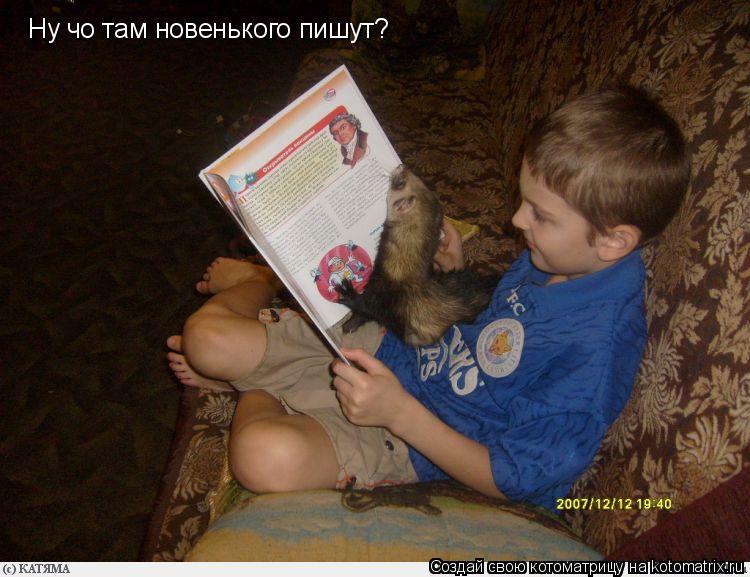 Ну чо там новенького пишут?... Котоматрица: Ну чо там новенького пишут?