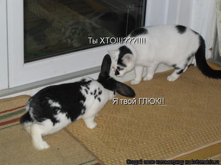 Ты ХТО!!!???!!!! Я твой ГЛЮК!!... Котоматрица: Ты ХТО!!!???!!!! Я твой ГЛЮК!!