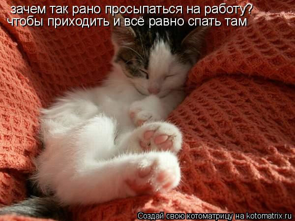 зачем так рано просыпаться на работу? чтобы приходить и всё равно спать там... Котоматрица: зачем так рано просыпаться на работу? чтобы приходить и всё равно спать там