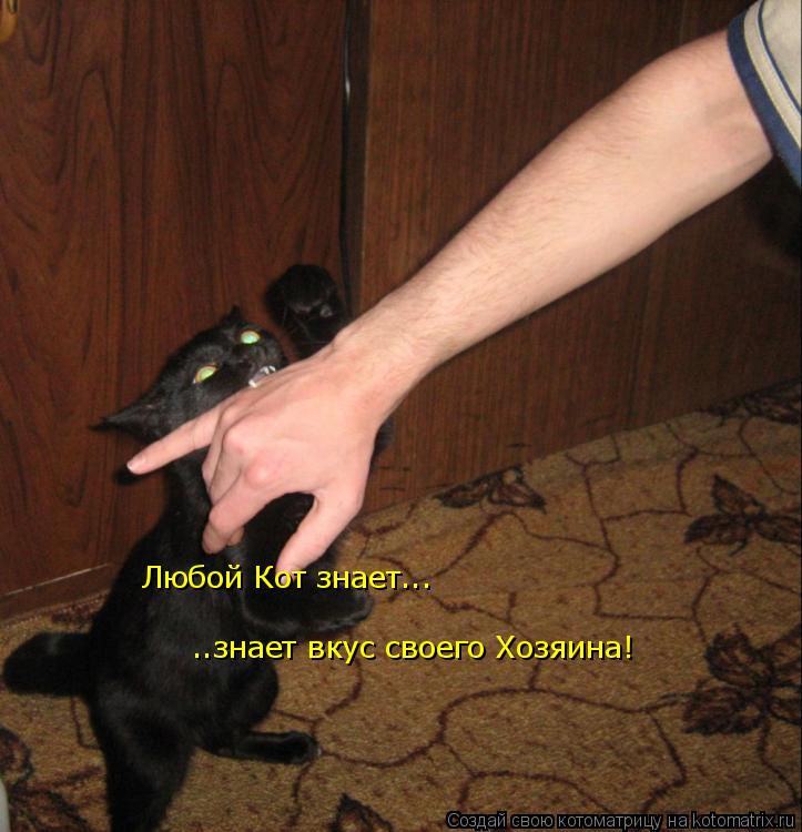Любой Кот знает... ..знает вкус своего Хозяина!... Котоматрица: Любой Кот знает... ..знает вкус своего Хозяина!