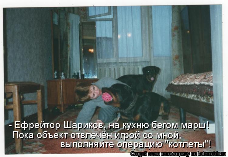 - Ефрейтор Шариков, на кухню бегом марш! выполняйте операцию "котлеты"! Пока объект отвлечён игрой со... Котоматрица: - Ефрейтор Шариков, на кухню бегом марш! выполняйте операцию "котлеты"! Пока объект отвлечён игрой со мной,