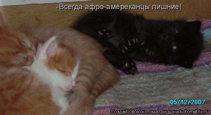 -Всегда афро-амереканцы лишние!... Котоматрица: -Всегда афро-амереканцы лишние!