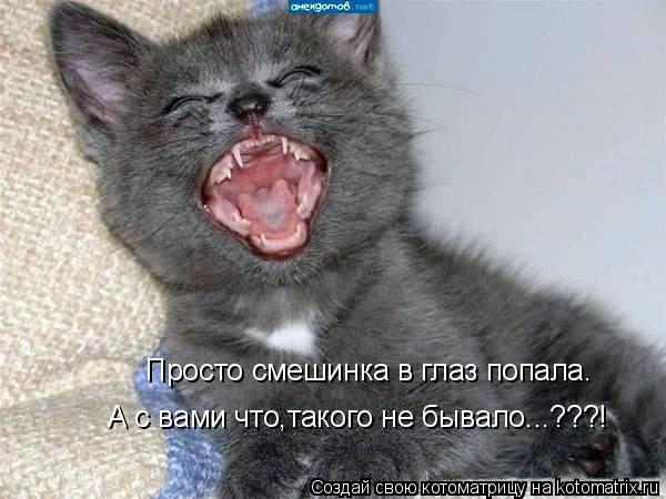 Просто смешинка в глаз попала. А с вами что,такого не бывало...???!... Котоматрица: Просто смешинка в глаз попала. А с вами что,такого не бывало...???!