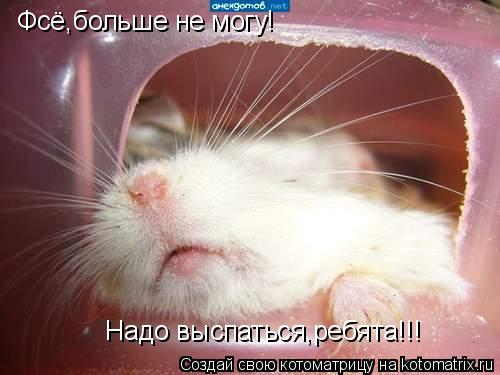 Фсё,больше не могу! Надо выспаться,ребята!!!... Котоматрица: Фсё,больше не могу! Надо выспаться,ребята!!!