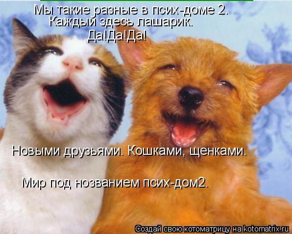 Мы такие разные в псих-доме 2. Каждый здесь лашарик. Да!Да!Да! Новыми друзьями. Кошками, щенками. Мир... Котоматрица: Мы такие разные в псих-доме 2. Каждый здесь лашарик. Да!Да!Да! Новыми друзьями. Кошками, щенками. Мир под нозванием псих-дом2.