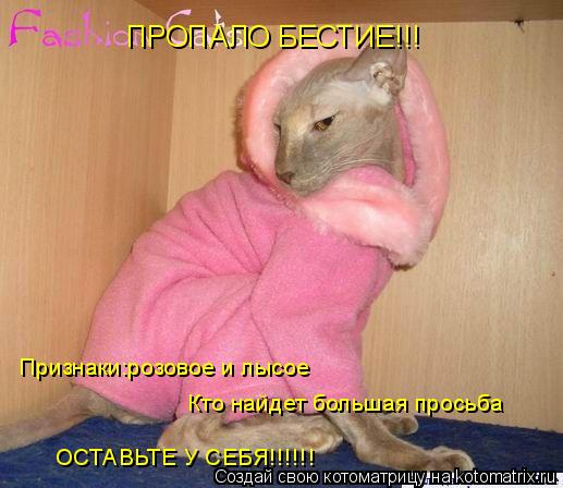 ПРОПАЛО БЕСТИЕ!!! Признаки:розовое и лысое Кто найдет большая просьба ОСТАВЬТЕ У СЕБЯ!!!!!!... Котоматрица: ПРОПАЛО БЕСТИЕ!!! Признаки:розовое и лысое Кто найдет большая просьба ОСТАВЬТЕ У СЕБЯ!!!!!!