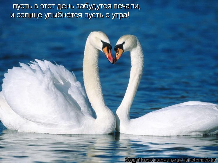 пусть в этот день забудутся печали, и солнце улыбнётся пусть с утра!... Котоматрица: пусть в этот день забудутся печали, и солнце улыбнётся пусть с утра!