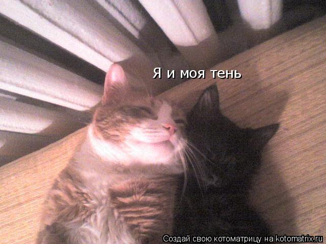 Я и моя тень... Котоматрица: Я и моя тень