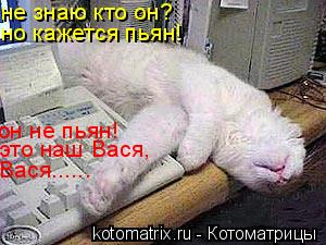 не знаю кто он? но кажется пьян! он не пьян! это наш Вася, Вася......... Котоматрица: не знаю кто он? но кажется пьян! он не пьян! это наш Вася, Вася......